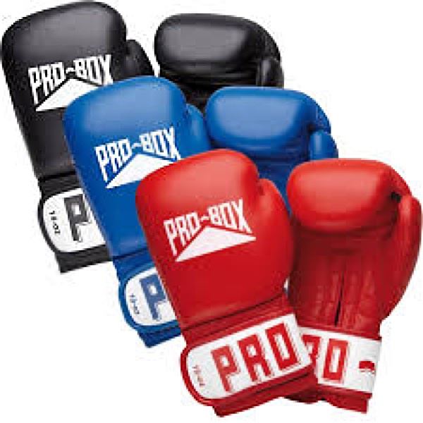 Pro Box Leather Club Essential Boxing Gloves Fight Equipment UK FEUK