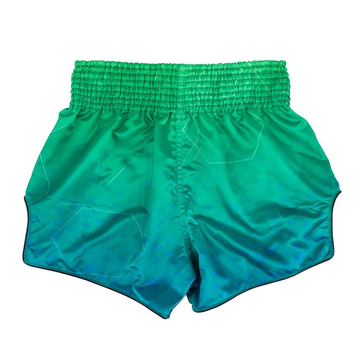BS1953 Fairtex Quantum Muaythai Shorts-Fairtex