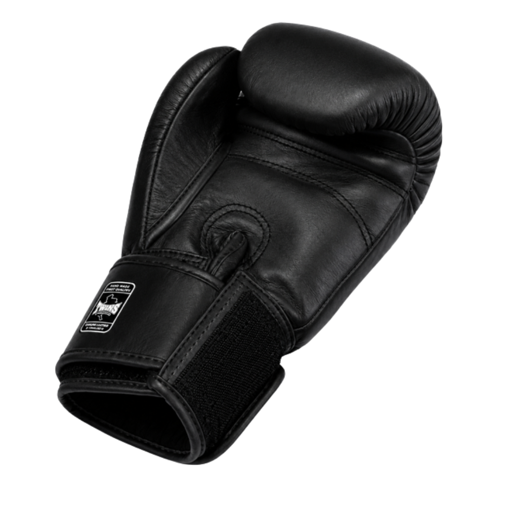 Twins BGN V2 Boxing Gloves - Black-Twins